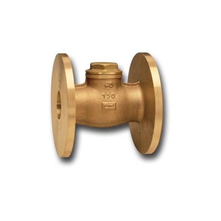 Flanged check valves