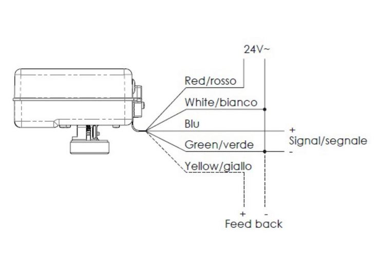 RC10910000CTE.jpg