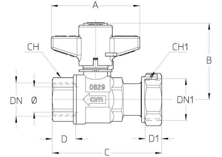 204_F21DTT.jpg