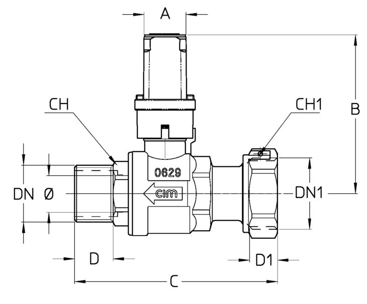 205-206C21DTT.jpg