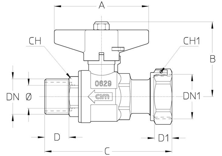 205DTT.jpg