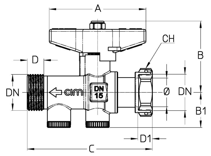 2100-ALDTT.jpg