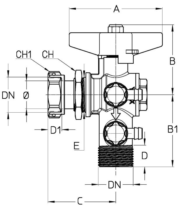 2202-ALDTT.jpg