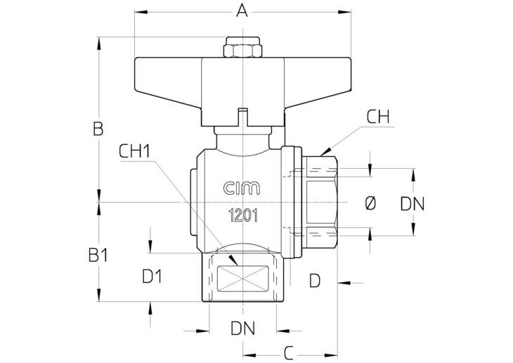 229GDTT.jpg