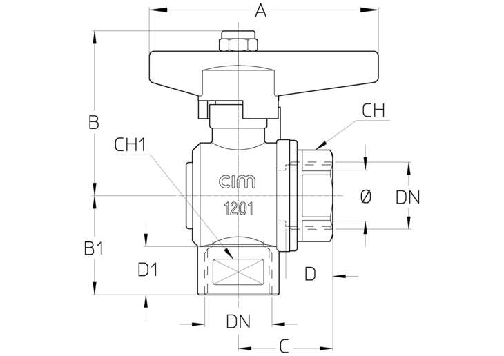 229OTDTT.jpg