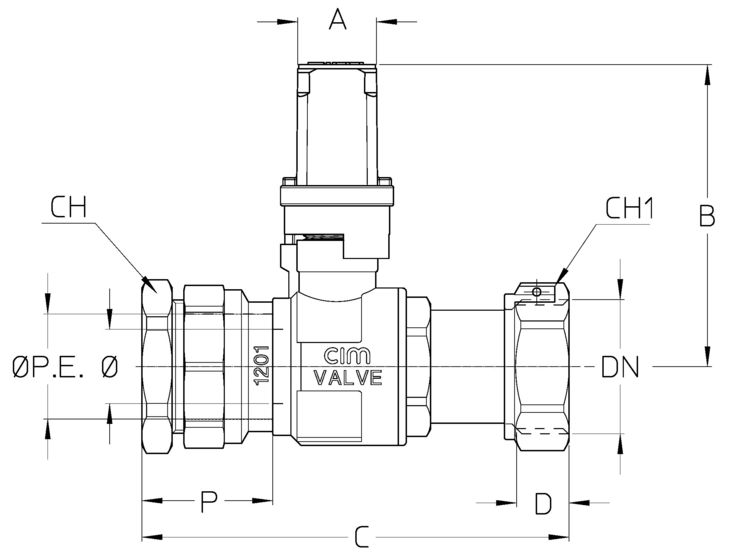 283-206C21DTT.jpg