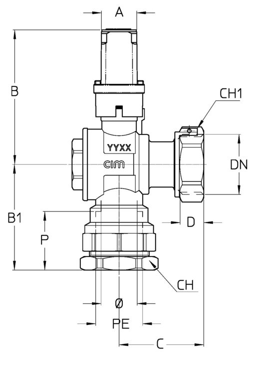 284-206C21DTT.jpg