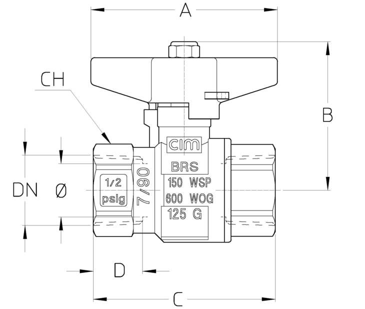 312NPTDTT.jpg