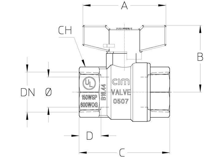 316.1GNPTDTT.jpg