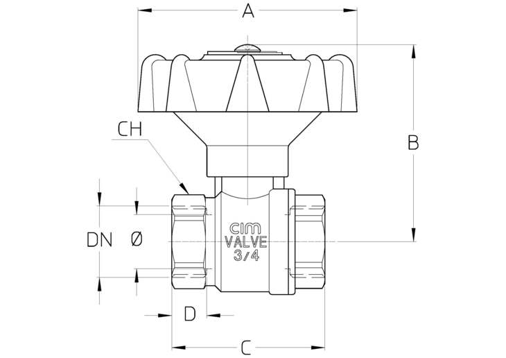 614DTT.jpg