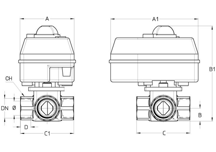 681DTT.jpg