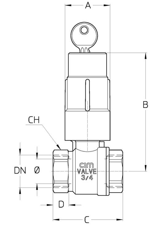 B14DTT.jpg